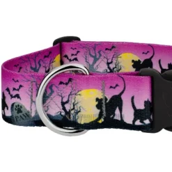 Country Brook Petz HossFit Jr Wide Deluxe Dog Collar - Halloween Collection -Pet Shop GUEST 98154272 ef30 48e2 bb8a 34389ec3ab91