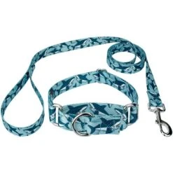 Country Brook Petz Sharks Martingale Dog Collar And Leash -Pet Shop GUEST 98c11343 1203 4694 b069 e58c7401aa68