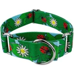 Country Brook Petz 1 1/2 Inch Ladybug Picnic Martingale Dog Collar -Pet Shop GUEST 997318c2 afc4 4fae 87e2 999a493c764a
