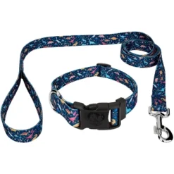 Country Brook Petz Deluxe Dinosaurs Dog Collar And Leash 13 Country Brook Petz Deluxe Dinosaurs Dog Collar And Leash -Pet Shop GUEST 9a0e0ad2 e995 4b8d ae47 cdca972d9abe