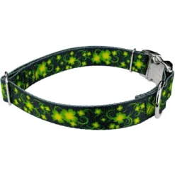 Country Brook Petz Premium Dog Collar - Irish Pride Collection -Pet Shop GUEST 9a237e66 7566 4428 9746 5161c01e3504