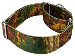 Country Brook Petz 1 1/2 Inch Southern Forest Camo Martingale Dog Collar 13 Country Brook Petz 1 1/2 Inch Southern Forest Camo Martingale Dog Collar -Pet Shop GUEST 9a3dd452 7290 414b 9f4a 488687da653f