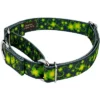 Country Brook Petz Clovers In The Wind Martingale Dog Collar -Pet Shop GUEST 9a90b9dd a119 427d a4a1 302849ef048a