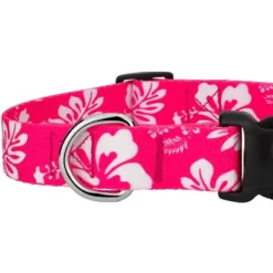 Country Brook Petz Pink Hawaiian Deluxe Dog Collar And Leash 13 Country Brook Petz Pink Hawaiian Deluxe Dog Collar And Leash -Pet Shop GUEST 9a92fde2 b811 45cd 84ba 5a67b74f26f7