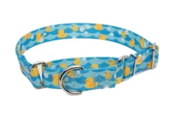 Country Brook Petz Just Ducky Martingale Dog Collar 11 Country Brook Petz Just Ducky Martingale Dog Collar -Pet Shop GUEST 9a9738d4 8480 4312 90ad a1fd486b5645