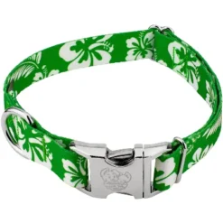 Country Brook Petz Premium Kelly Green Hawaiian Dog Collar -Pet Shop GUEST 9b33ff50 440d 4497 8af8 4c4599c3c5d6
