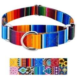 Country Brook Petz Martingale Dog Collar Country And Western Collection -Pet Shop GUEST 9c01f03c 13c3 423c b108 461f7a97ead3