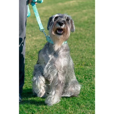 Country Brook Petz Martingale Collar And Leash - Paisley Collection 3 Country Brook Petz Martingale Collar And Leash - Paisley Collection