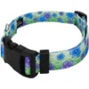 Country Brook Petz Blue April Blossoms Deluxe Dog Collar And Leash -Pet Shop GUEST 9c8cdaa7 ec24 4e30 8eab c69d4313eb7e