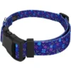 Country Brook Petz Deluxe Blueberry Fields Dog Collar And Leash 2 Country Brook Petz Deluxe Blueberry Fields Dog Collar And Leash -Pet Shop GUEST 9d02c24d e8ee 41a2 983a 682671931de0 1