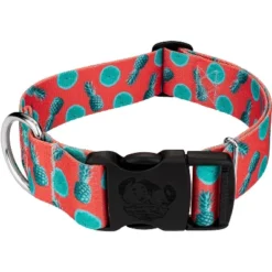 Country Brook Petz 1 1/2 Inch Deluxe Tropical Tango Dog Collar -Pet Shop GUEST 9d2295d1 bc47 4889 9642 097a755a28f1