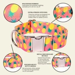 Country Brook Petz HossFit Jr Wide Premium Dog Collar - Tasty Collection -Pet Shop GUEST 9e265a66 edb3 478f 9f5c 791387aaa6b4