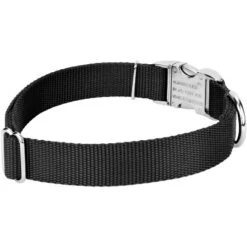 Country Brook Petz Premium Nylon Dog Collar And Leash Set For Small Medium Large Dogs - Vibrant 30+ Color Selection -Pet Shop GUEST a0308f1c 3224 440d 900a fef4a0a48391