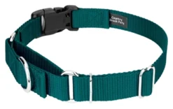 Country Brook Petz Durable Nylon Martingale With Deluxe Buckle - Made In The USA -Pet Shop GUEST a13439a0 0d97 4cb4 b52a 0ec4ff709f95