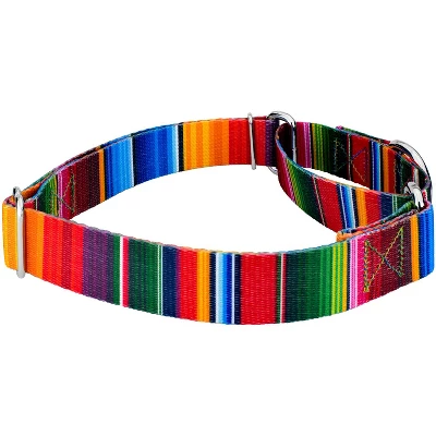 Country Brook Petz Serape Martingale Dog Collar And Leash 4 Country Brook Petz Serape Martingale Dog Collar And Leash - Image 2