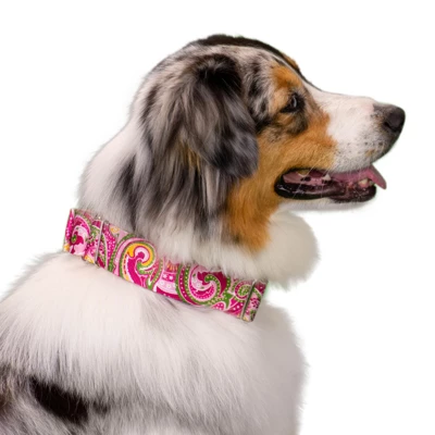 Country Brook Petz 1 1/2 Inch Pink Paisley Martingale Dog Collar 9 Country Brook Petz 1 1/2 Inch Pink Paisley Martingale Dog Collar - Image 7
