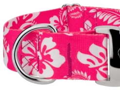 Country Brook Petz 1 1/2 Inch Premium Pink Hawaiian Dog Collar -Pet Shop GUEST a22f7724 b235 4407 a690 e055b83e6131