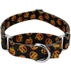 Country Brook Petz Happy Jack Martingale Dog Collar -Pet Shop GUEST a2689e38 5c5b 4b86 a53c bb9909374ea0 1