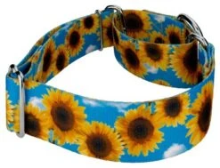 Country Brook Petz 1 1/2 Inch Sunflowers Martingale Dog Collar -Pet Shop GUEST a27dd050 0acc 48b4 9be3 8e1316a795c9