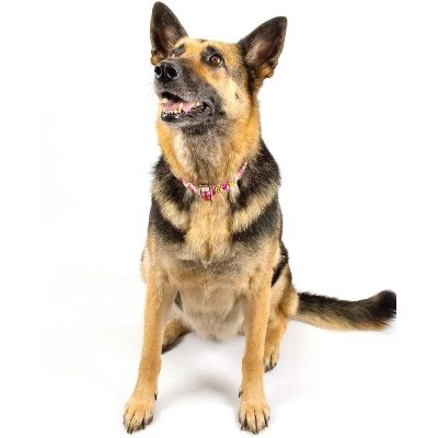 Country Brook Petz Premium Pink Paisley Dog Collar 8 Country Brook Petz Premium Pink Paisley Dog Collar - Image 6