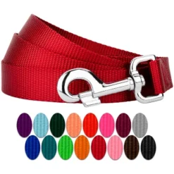 Country Brook Petz 6ft By 3/4 Inch Heavyduty Doublehandle Nylon Leash -Pet Shop GUEST a30414cf 75db 40a0 bde0 8029ec068450
