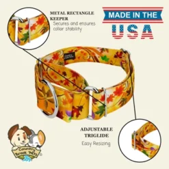 Country Brook Petz HossFit Jr Wide Martingale Dog Collar - Awesome Autumn Collection 13 Country Brook Petz HossFit Jr Wide Martingale Dog Collar - Awesome Autumn Collection -Pet Shop GUEST a3d8fff0 43fc 4cbe a2cf 82f26ccdab86