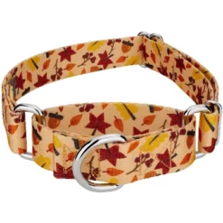 Country Brook Petz Fall Foliage Martingale Dog Collar -Pet Shop GUEST a40b546c 79e5 42a6 aee4 0126c8af826e