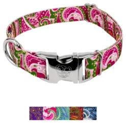 Country Brook Petz Premium Dog Collar - Paisley Collection -Pet Shop GUEST a421ea1a d5ed 45f6 8013 a74a19780cc2