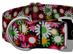 Country Brook Petz 1 1/2 Inch Premium Daisy Fields Dog Collar -Pet Shop GUEST a43f3e2b 7cbb 495f bdd6 07ffde099a1c 1