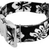 Country Brook Petz 1 1/2 Inch Premium Black Hawaiian Dog Collar -Pet Shop GUEST a4bdcc8d ed40 4c0b 8809 d5b7662d9d4f