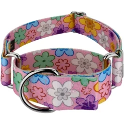 Country Brook Petz 1 1/2 Inch May Flowers Martingale Dog Collar -Pet Shop GUEST a4be1e04 3875 4b1a b2ad ab1b010e40c8