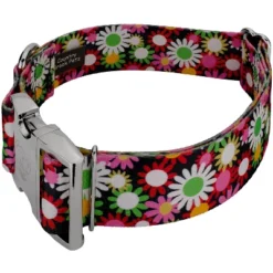 Country Brook Petz HossFit Jr Wide Premium Dog Collar - Floral Collection
