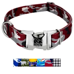 Country Brook Petz Premium Dog Collar - Sports And Athletics Collection -Pet Shop GUEST a4ed774e f35b 4a9b 9b3e a2ad02a00099