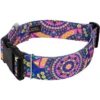 Country Brook Petz HossFit Jr Wide Deluxe Dog Collar - Groovy Collection 2 Country Brook Petz HossFit Jr Wide Deluxe Dog Collar - Groovy Collection -Pet Shop GUEST a5e70fd9 a3ba 4648 8681 2383dcf74817