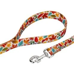 Country Brook Petz Deluxe Collar And Leash - Awesome Autumn Collection 10 Country Brook Petz Deluxe Collar And Leash - Awesome Autumn Collection -Pet Shop GUEST a67ee765 df1d 4a7c b595 286e42283782 3