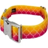 Country Brook Petz HossFit Jr Wide Premium Dog Collar - Abstract Collection -Pet Shop GUEST a6b0d1b2 e574 4406 b2b8 02c71c784252