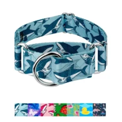 Country Brook Petz HossFit Jr Wide Martingale Dog Collar - Critter Corner Collection -Pet Shop GUEST a77a72b1 fe65 4fff 9737 1aa2fdcb2b24