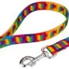 Country Brook Petz® 1 Inch Rainbow Hearts Dog Leash - 6 Foot -Pet Shop GUEST a7b26161 388c 4665 97bb 8cc9658f0366