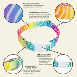 Country Brook Petz Deluxe Fashion Zebra Dog Collar - Made In The U.S.A. (1/2 Inch, Extra Small) -Pet Shop GUEST a87163d6 fa4b 4fce baab 21f1170cefc5