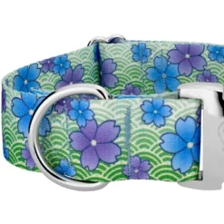 Country Brook Petz HossFit Jr Wide Premium Dog Collar - Spring Collection -Pet Shop GUEST a8aa3523 5c37 4895 a0c1 3da2f81ccddf