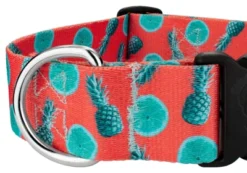 Country Brook Petz 1 1/2 Inch Deluxe Tropical Tango Dog Collar -Pet Shop GUEST a95acd7a d1ad 4b64 a238 24d987277db9