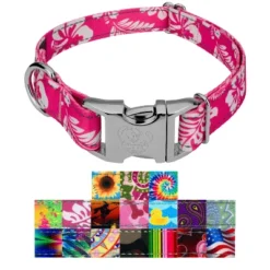 Country Brook Petz Premium Reflective Dog Collar 11 Country Brook Petz Premium Reflective Dog Collar -Pet Shop GUEST a9bf0e8d c303 4db3 b6b5 6fcae48dd93d