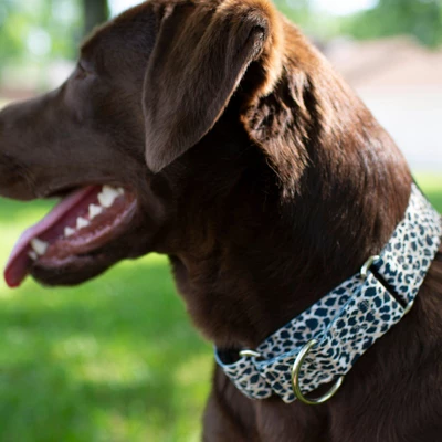 Country Brook Petz HossFit Jr Wide Martingale Dog Collar - Animal Print Collection 3 Country Brook Petz HossFit Jr Wide Martingale Dog Collar - Animal Print Collection