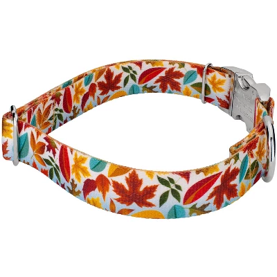 Country Brook Petz Premium Brisk Autumn Dog Collar 4 Country Brook Petz Premium Brisk Autumn Dog Collar - Image 2