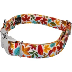 Country Brook Petz Premium Collar And Leash - Awesome Autumn Collection