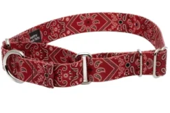 Country Brook Petz Red Bandana Martingale Dog Collar -Pet Shop GUEST aa791ece edc4 4b23 bd4f b07863998844
