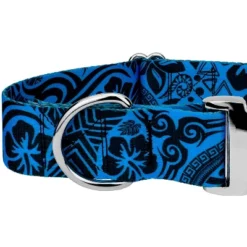 Country Brook Petz HossFit Jr Wide Premium Dog Collar - Attitude Collection -Pet Shop GUEST aa823f01 b122 486c a710 8a7fc680f0cc