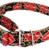 Country Brook Petz Cheetah Kisses Martingale Dog Collar -Pet Shop GUEST aa952973 786e 44e9 89cd df74f72e3209