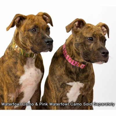 Country Brook Petz Premium Pink Waterfowl Camo Dog Collar 4 Country Brook Petz Premium Pink Waterfowl Camo Dog Collar - Image 2