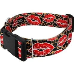 Country Brook Petz HossFit Jr Wide Deluxe Dog Collar - Affection Collection